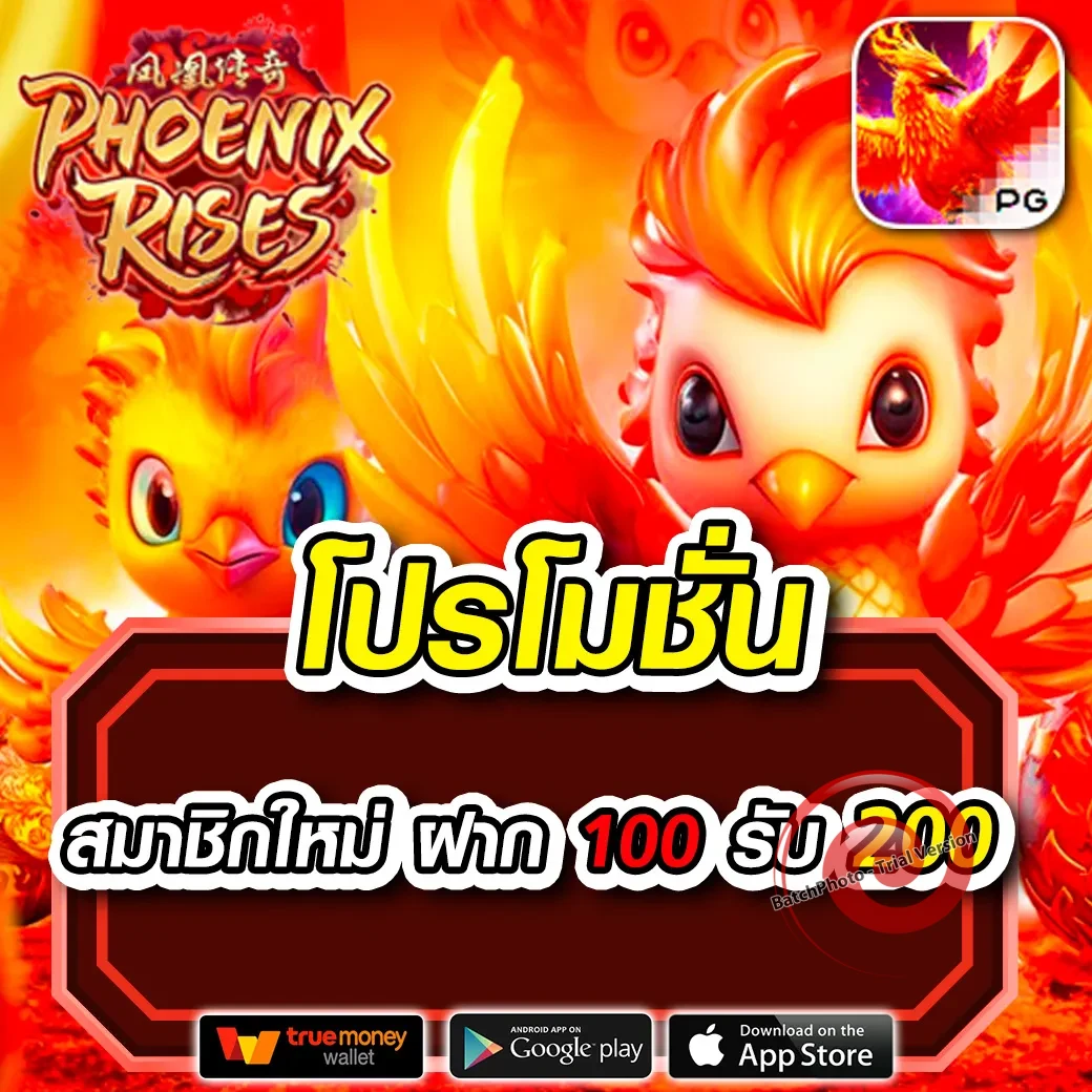 365 maxbet